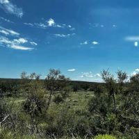 Texas Hunting Land in Sutton County for Sale images 2