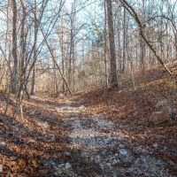 Winona Pioneer Point images 5