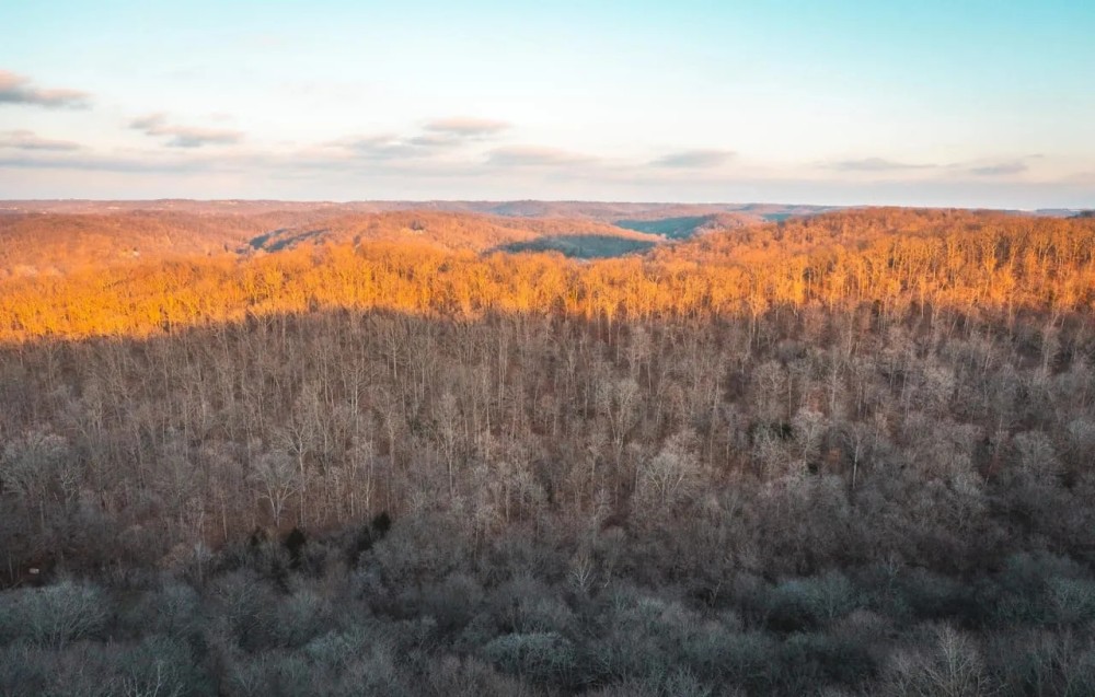 House Springs Hollow featured image