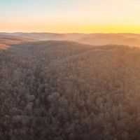 House Springs Hollow images 3