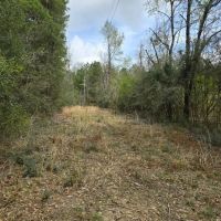 Prime Recreational Tract in Southern Pike County 39.6 - Acres images 2