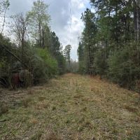 Prime Recreational Tract in Southern Pike County 39.6 - Acres images 3