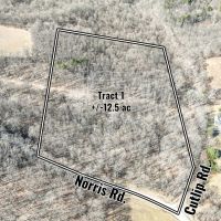 Auction - Norris Rd - Harrison County images 3