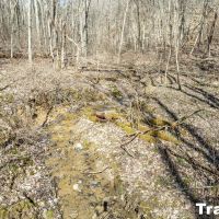 Auction - Norris Rd - Harrison County images 4