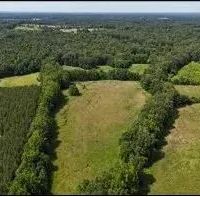 66 Acres in Panola County in Pope MS images 4