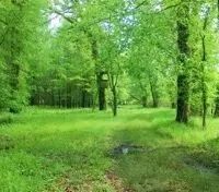 395 Acres with a Home in Leflore County at 1400 County Road 246 in Sidon MS images 3