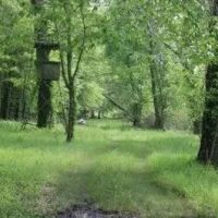 395 Acres with a Home in Leflore County at 1400 County Road 246 in Sidon MS images 5