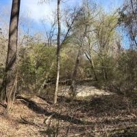 LA - La Salle 34 acres -