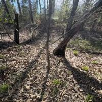 LA - La Salle 34 acres - images 4
