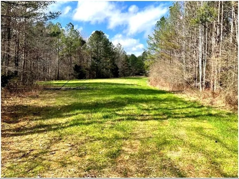 160 Acres in Leake County in Thomastown MS featured image
