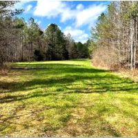 160 Acres in Leake County in Thomastown MS