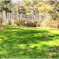 160 Acres in Leake County in Thomastown MS images 2