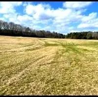 160 Acres in Leake County in Thomastown MS images 3