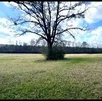 160 Acres in Leake County in Thomastown MS images 4