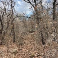 Throckmorton County images 2