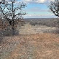 Throckmorton County images 4