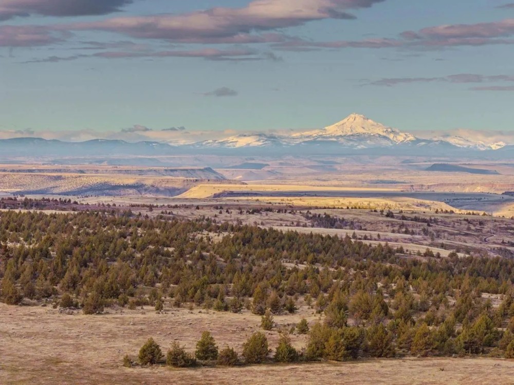 Cross Keys Ranch featured image