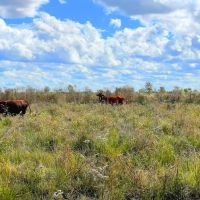 Alleyton Tract 15 10 Acres Only 15K Down images 2