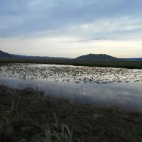 Four J Ranch images 3