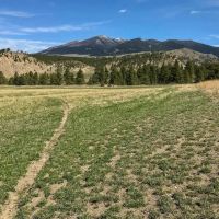Grandview Acreage images 4