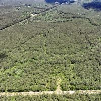 14 Acres T-2 Highway 190 images 3