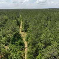 14 Acres T-2 Highway 190 images 4