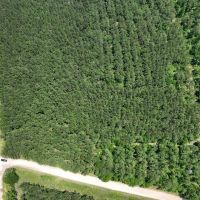 14 Acres T-2 Highway 190 images 5