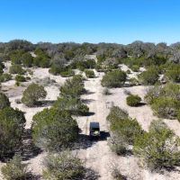 Raymond Ranch images 2