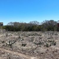 Raymond Ranch images 5