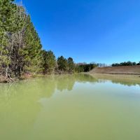 Bear Branch Rd