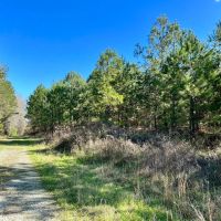 Bear Branch Rd images 3