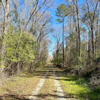 Bear Branch Rd images 4