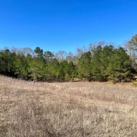 Bear Branch Rd images 5