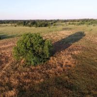 Meadow View Ranch images 4