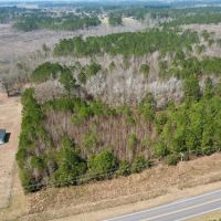 9.91 Acres of Recreational and Hunting Land For Sale in Columbus County NC images 2