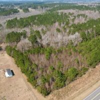 9.91 Acres of Recreational and Hunting Land For Sale in Columbus County NC images 3