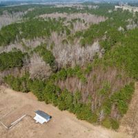9.91 Acres of Recreational and Hunting Land For Sale in Columbus County NC images 4