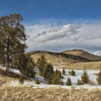 Agate Creek Inholding images 3