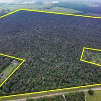 341 Acres FM 1475