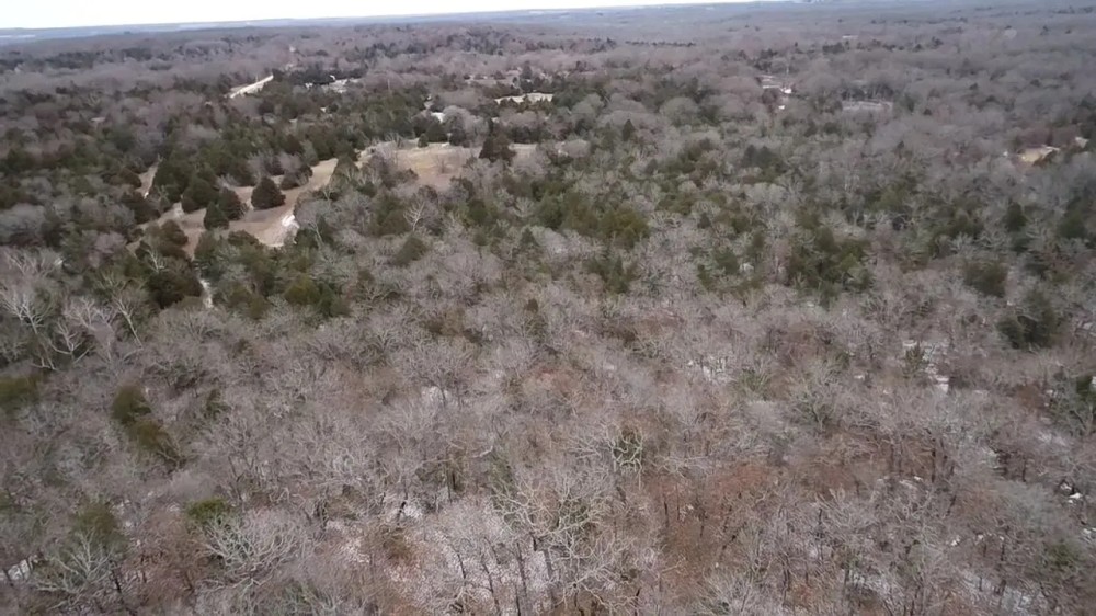 40 Acre Hunting Paradise in Sasakwa OK featured image