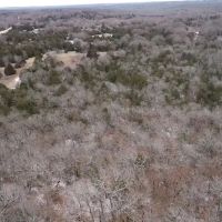 40 Acre Hunting Paradise in Sasakwa OK