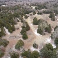 40 Acre Hunting Paradise in Sasakwa OK images 2