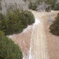 40 Acre Hunting Paradise in Sasakwa OK images 4