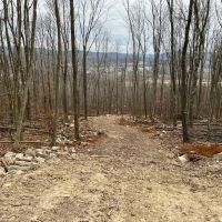 Bald Eagle Escape images 4