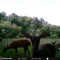 38 E 1090 Road Checotah OK 74426