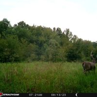 38 E 1090 Road Checotah OK 74426 images 4