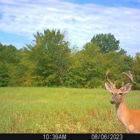 38 E 1090 Road Checotah OK 74426 images 5