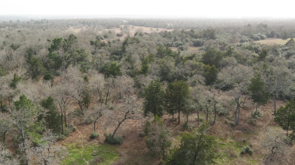 10.25 Acres in Milam County featured image