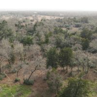10.25 Acres in Milam County