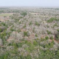 10.25 Acres in Milam County images 3
